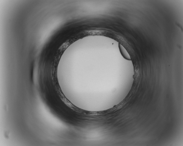 X0000102500381200808080950