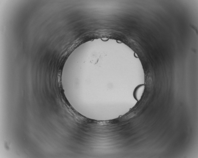 X0000102500382200808080950