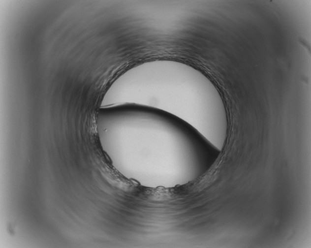 X0000102500384200808080950