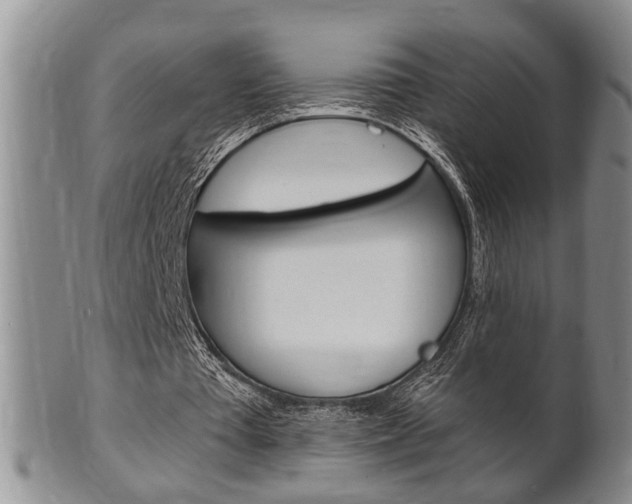 X0000102500385200808080949