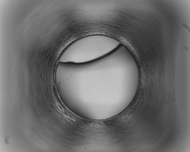 X0000102500386200808080949