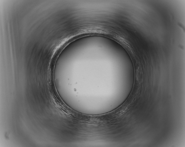 X0000102500388200808080949