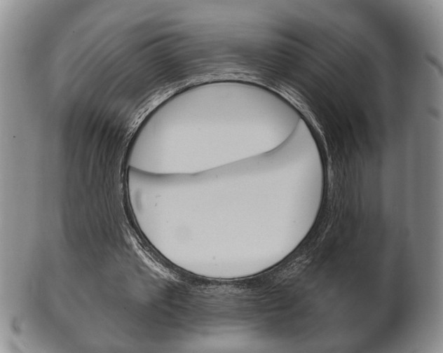 X0000102500389200808080949