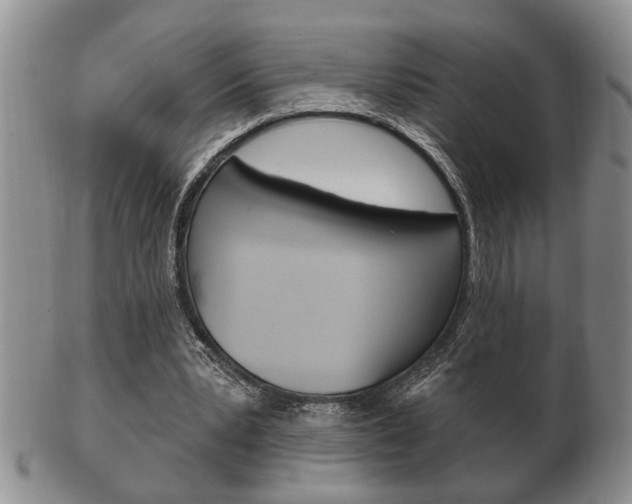 X0000102500391200808080949