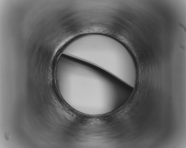X0000102500392200808080949