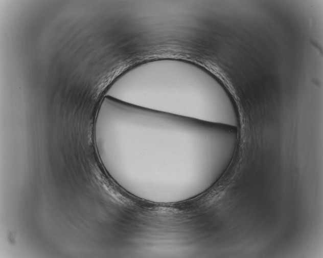 X0000102500393200808080949