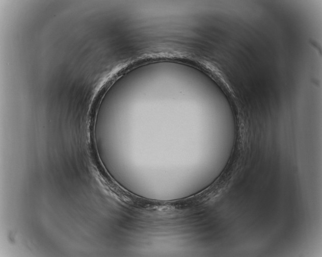 X0000102500395200808080949