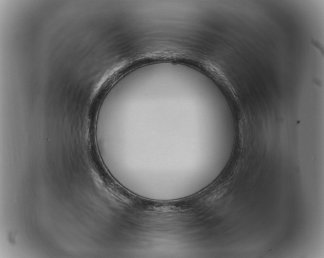 X0000102500396200808080949