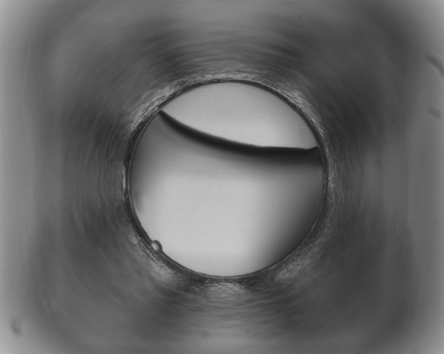 X0000102500397200808080949