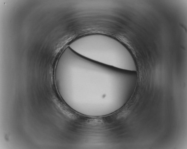 X0000102500398200808080949
