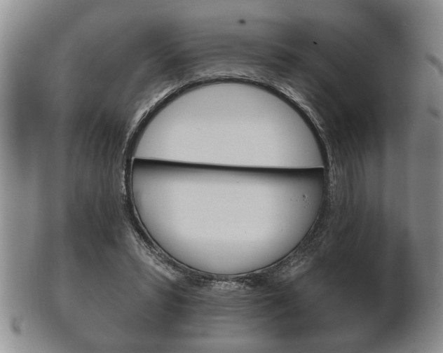 X0000102500399200808080949