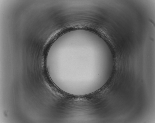 X0000102500400200808080949