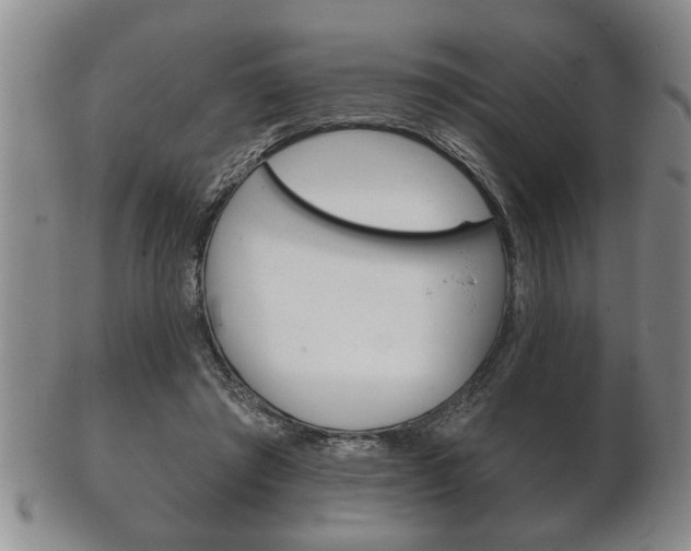 X0000102500401200808080949