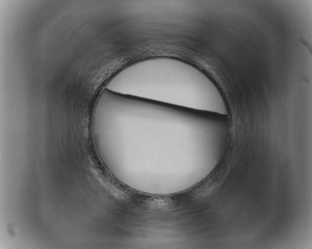 X0000102500402200808080949