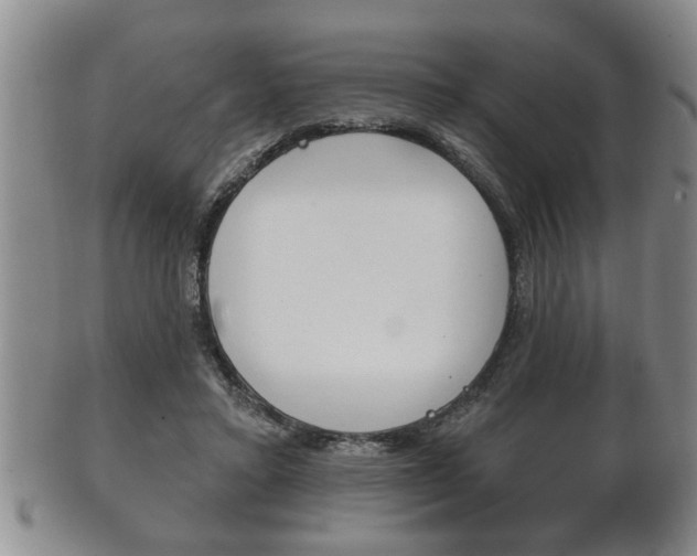 X0000102500403200808080949