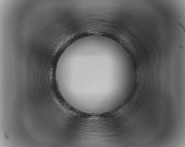 X0000102500404200808080949