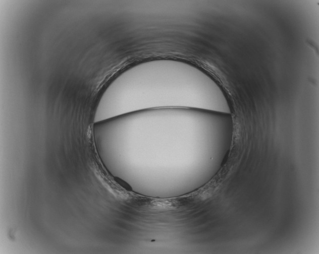 X0000102500405200808080949