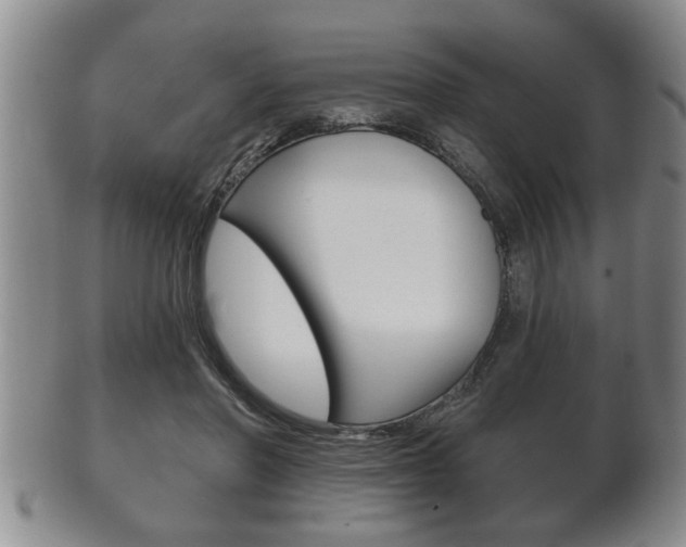 X0000102500406200808080949