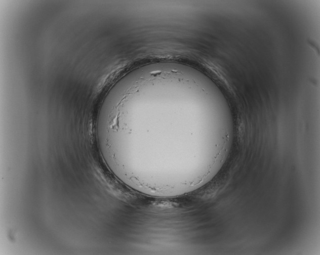 X0000102500407200808080949