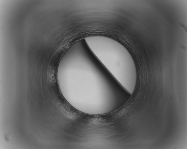 X0000102500408200808080949