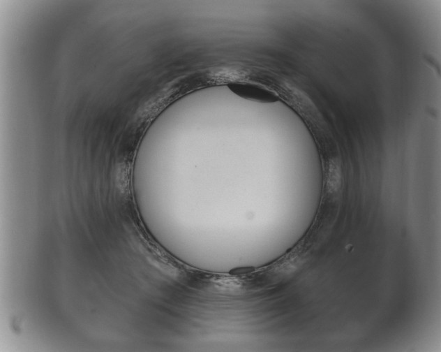 X0000102500409200808080949
