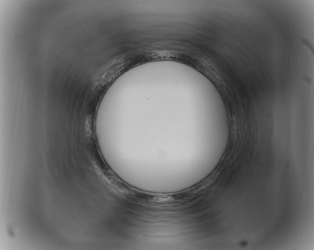 X0000102500410200808080949