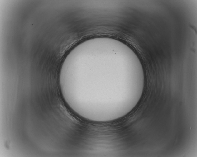 X0000102500411200808080949