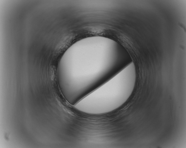 X0000102500412200808080949