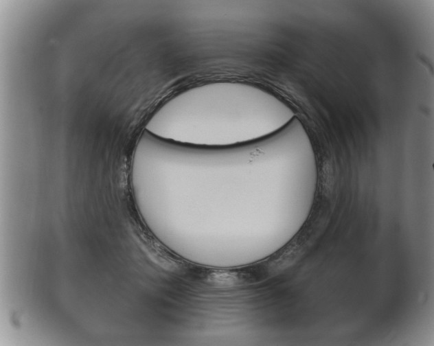 X0000102500413200808080949