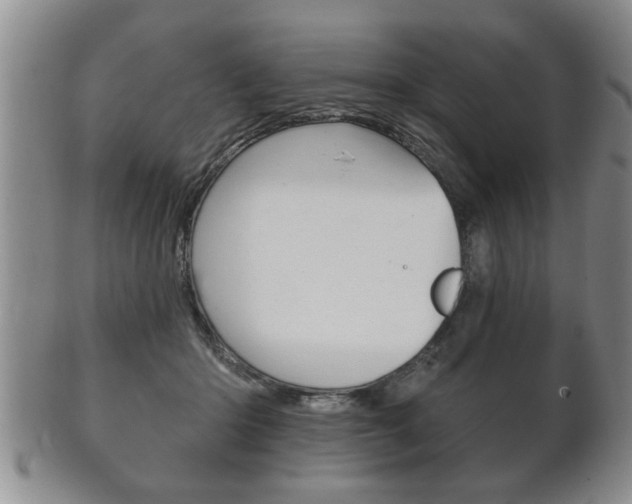 X0000102500414200808080949