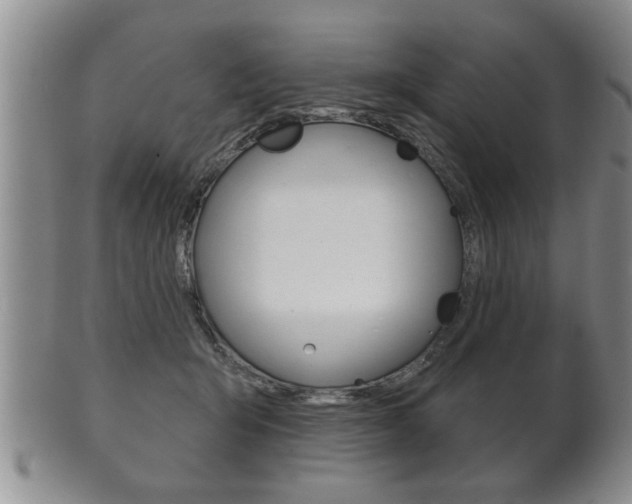 X0000102500415200808080949