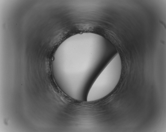X0000102500416200808080949