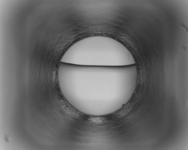 X0000102500417200808080949
