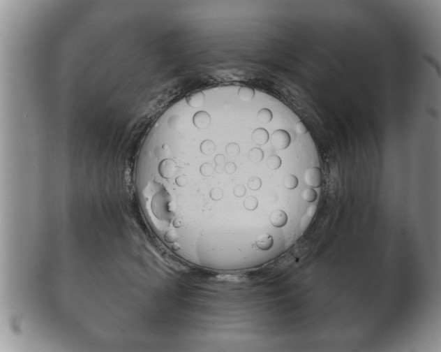 X0000102500418200808080949