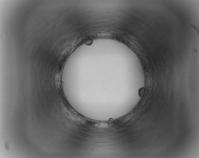 X0000102500419200808080949
