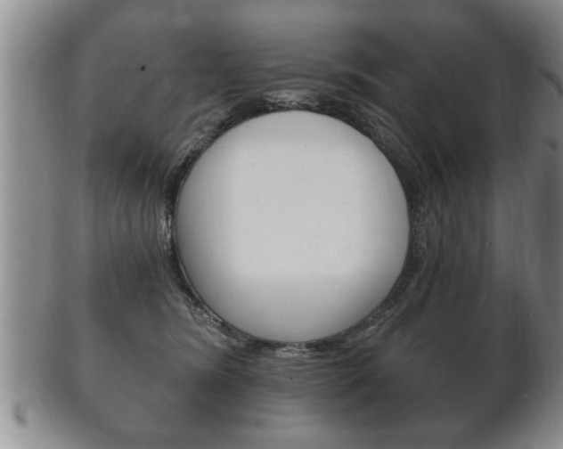 X0000102500420200808080949