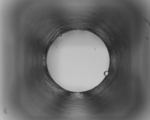 X0000102500421200808080949