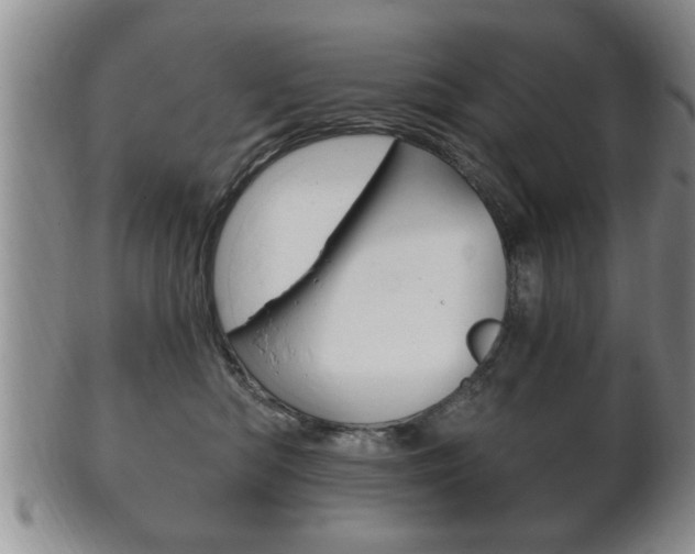 X0000102500422200808080949