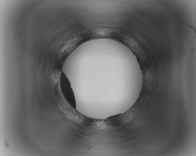 X0000102500423200808080949