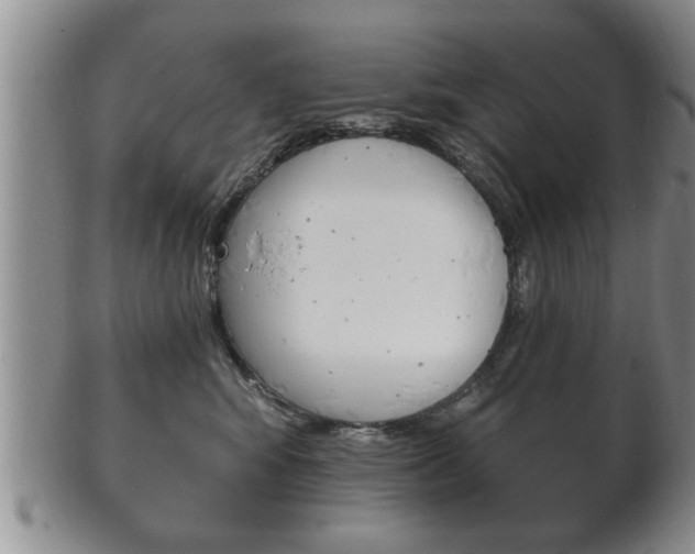 X0000102500424200808080949