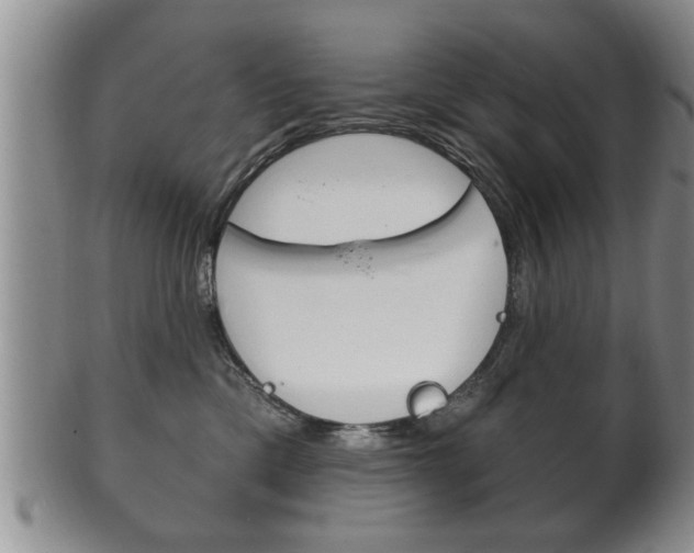 X0000102500425200808080949