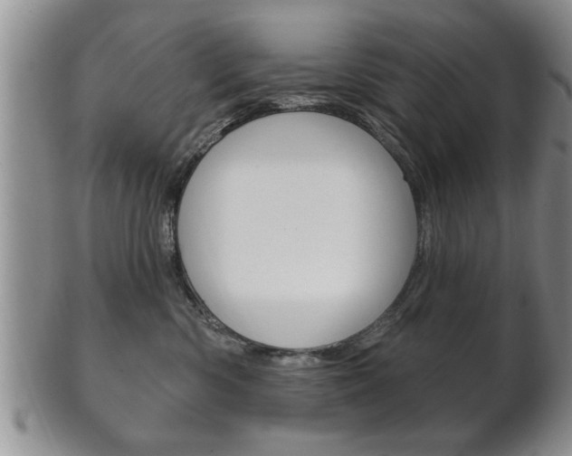 X0000102500426200808080949