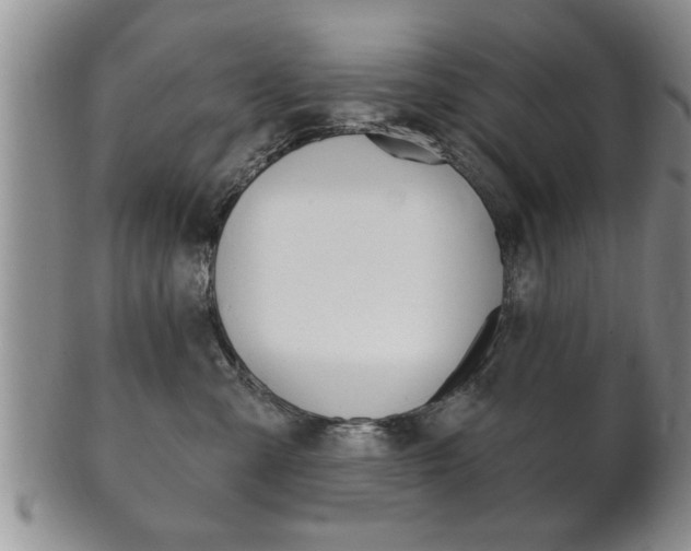 X0000102500427200808080949