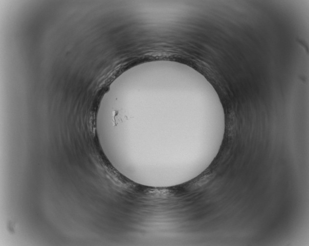 X0000102500428200808080949