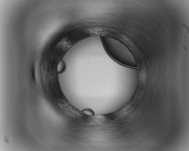 X0000102500429200808080949