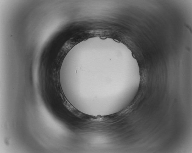 X0000102500430200808080949