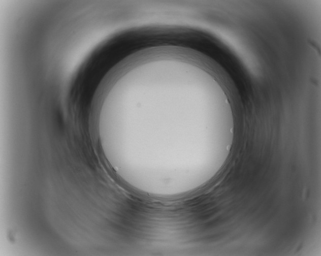 X0000102500431200808080949