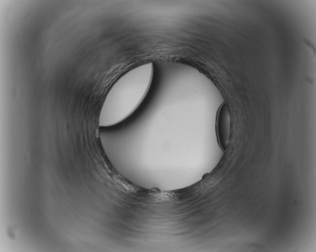 X0000102500432200808080949