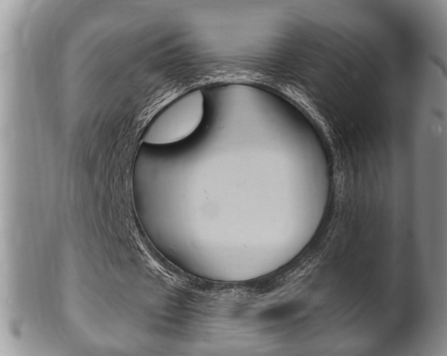 X0000102500433200808080948