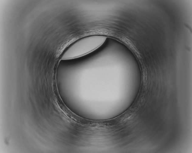 X0000102500434200808080948
